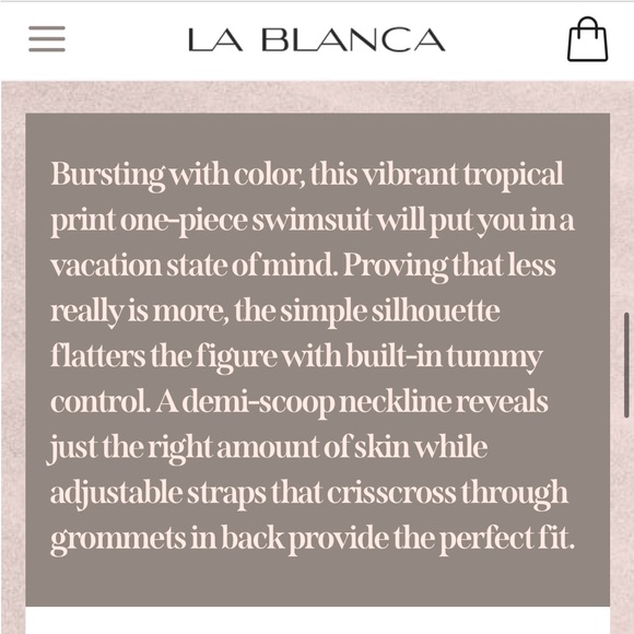 La Blanca
Eclectic Shore Lingerie One-Piece Swimsuit NWT - Picture 7 of 7